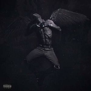 Meet your Posher, Bradley